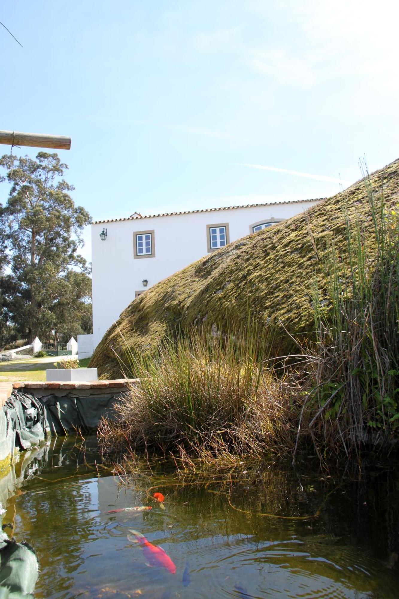 Gasthaus Quinta Dos Ribeiros Alpalhão Zimmer foto